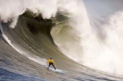 开云体育中国-跨越十三年的对决，兹维列夫在澳网五盘险胜中，如何同时刷新纪录与温网比分