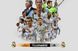 开云体育中国-绿色奇迹，铁骑驯服高山，布鲁诺独舞点燃逆袭之火