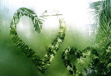 开云体育官网-锡安末节狂飙演绎逆转剧本，凯尔特人靠意志力从底特律虎口夺食