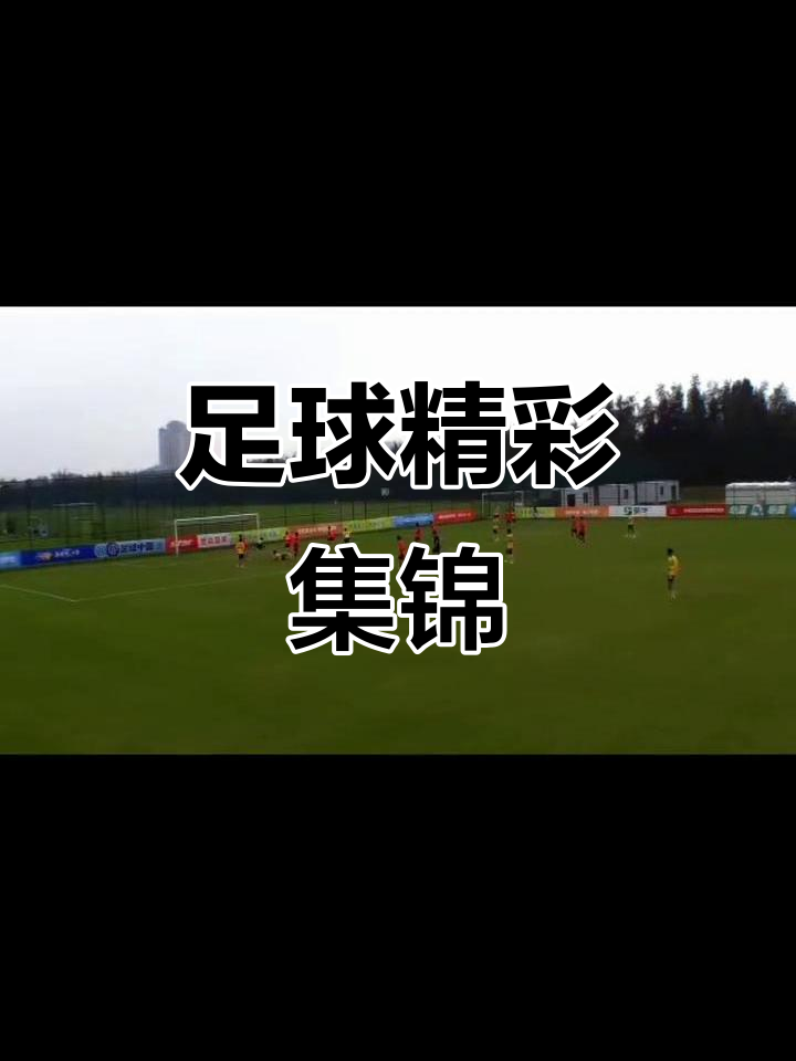 足球赛场精彩瞬间，球迷热议不停的简单介绍