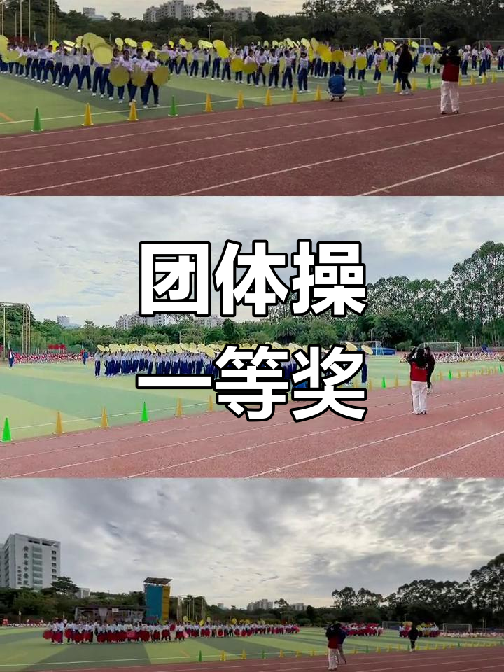 体操团队集体表演夺冠，技压群雄的简单介绍