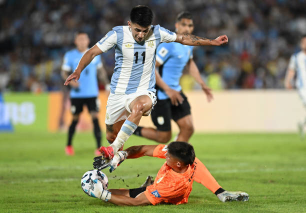 新西兰游泳冠军表现稳健！豪取金牌